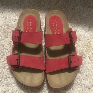 Altar'd State Red Double-Buckle Slide Sandals